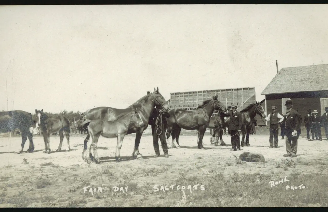 Fair Day, Saltcoats: horses and men, about 1910