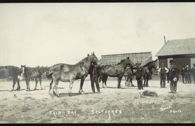 Fair Day, Saltcoats: horses and men
