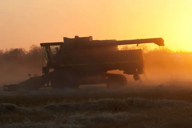 Combine harvesting at sunset