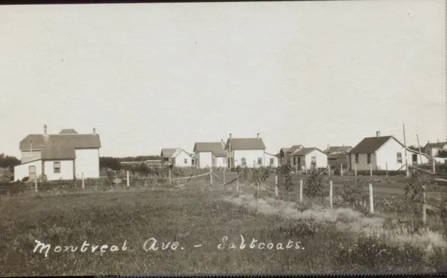 Houses along Montreal Avenue